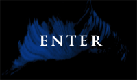 Enter the Site